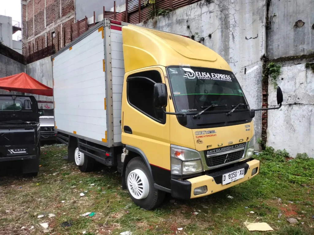 delisa express